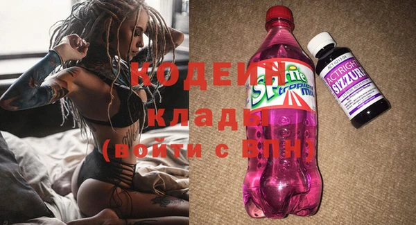 ешки Аркадак