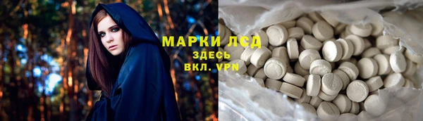 ГАЛЛЮЦИНОГЕННЫЕ ГРИБЫ Арсеньев