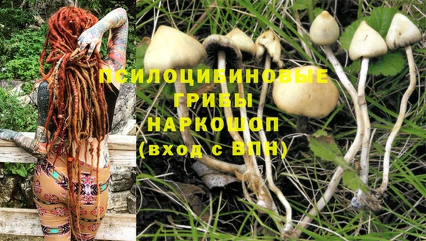 марки nbome Пролетарск