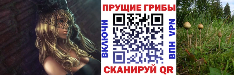 Псилоцибиновые грибы прущие грибы  Вельск 